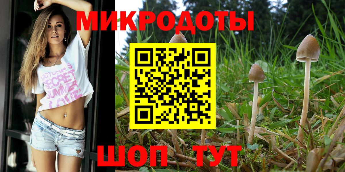 Галлюциногенные грибы GOLDEN TEACHER Магнитогорск