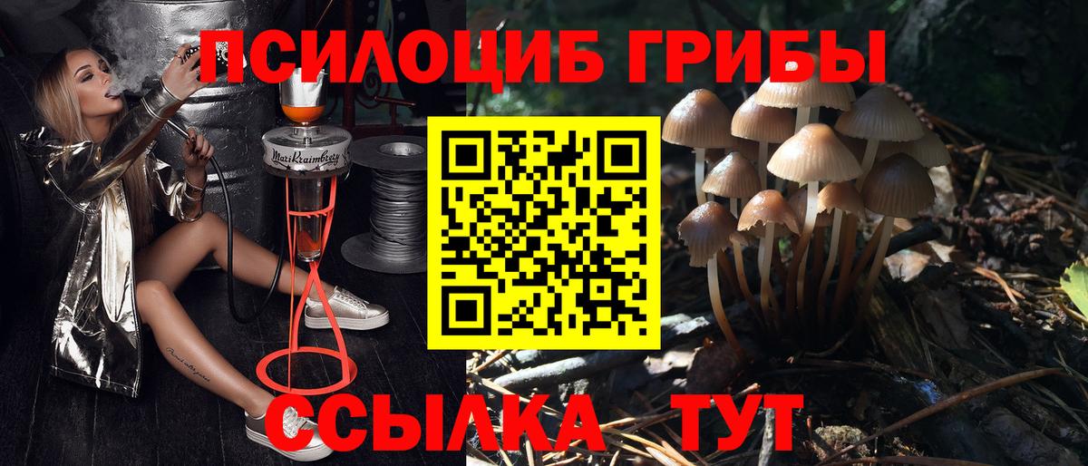 Магнитогорск  Псилоцибиновые грибы мицелий  Вход с VPN 